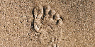 DLACZEGO BÓG DOPUSZCZA BÓL PO STRACIE BLISKICH? #IPPTV #IPPTV