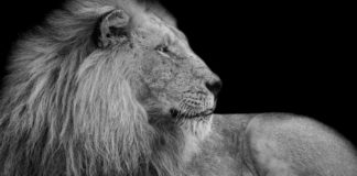 Pewność i nieutracalność zbawienia #Megakosciol #IPPTV #IPPTV #Megakosciol