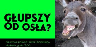 Głupszy od osła? Nauczanie pastora Pawła Chojeckiego 2019.04.07 #KNP #Megakościół #IPPTV